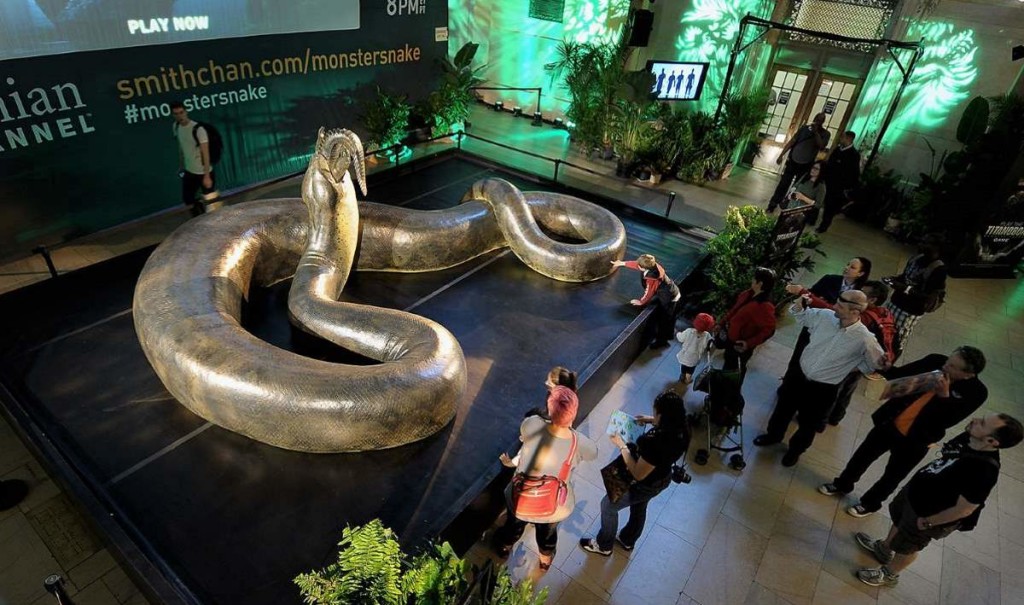 Largest Snake Ever Photographed